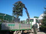 Transporte a domicilio